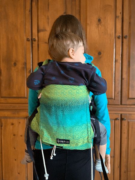 back carry didysnap toddler