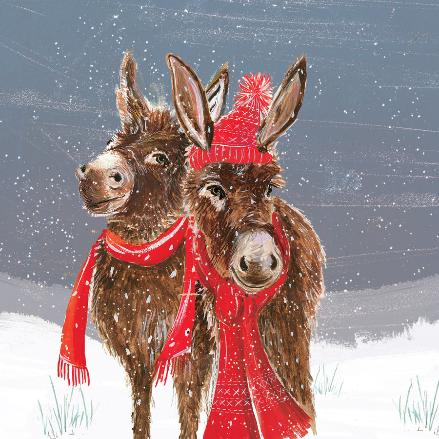 Donkeys Charity Christmas Cards Multipack, NSPCC (pack of 10) NSPCC Shop