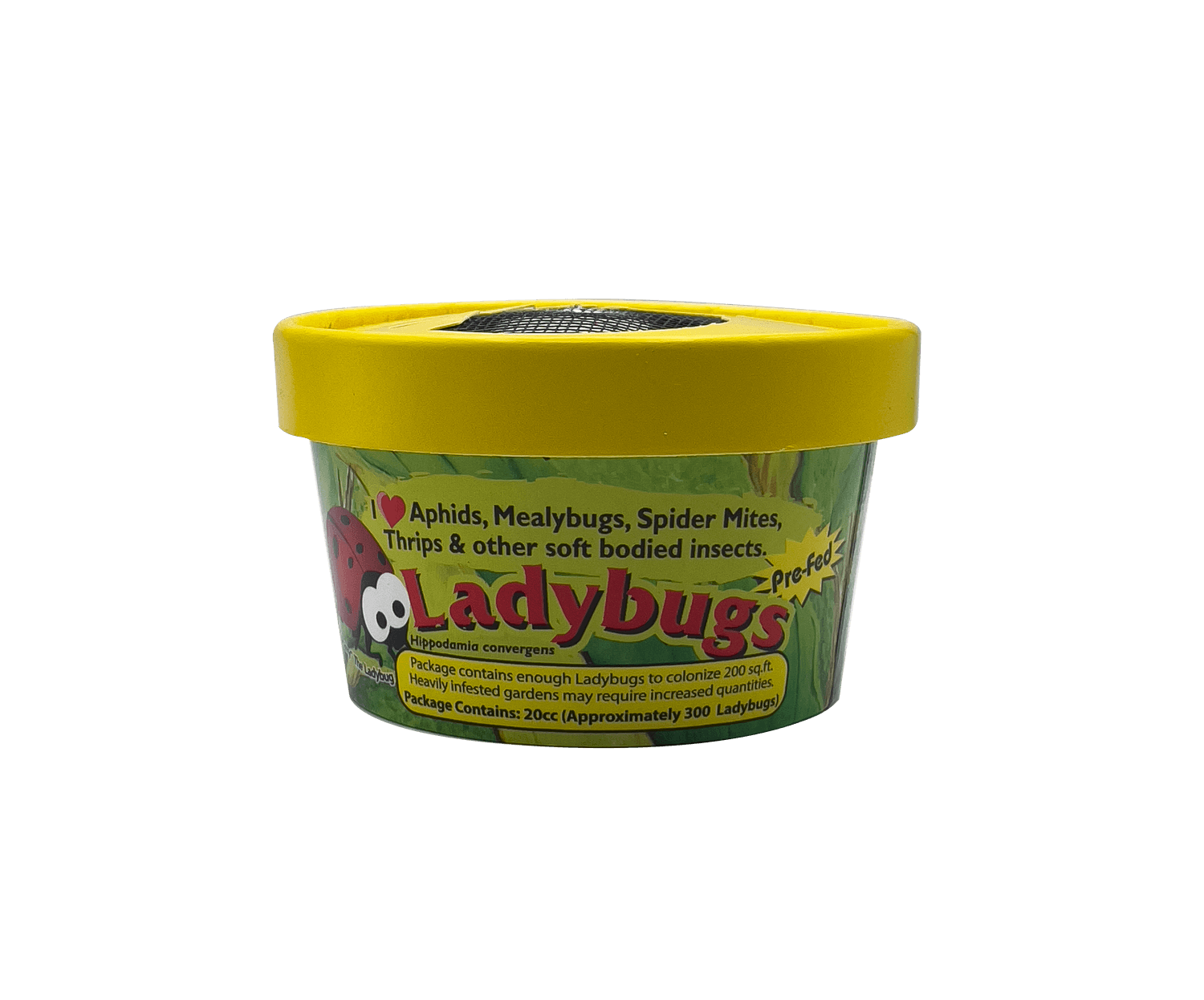 Pre-Fed Ladybugs – Tip Top Bio-Control