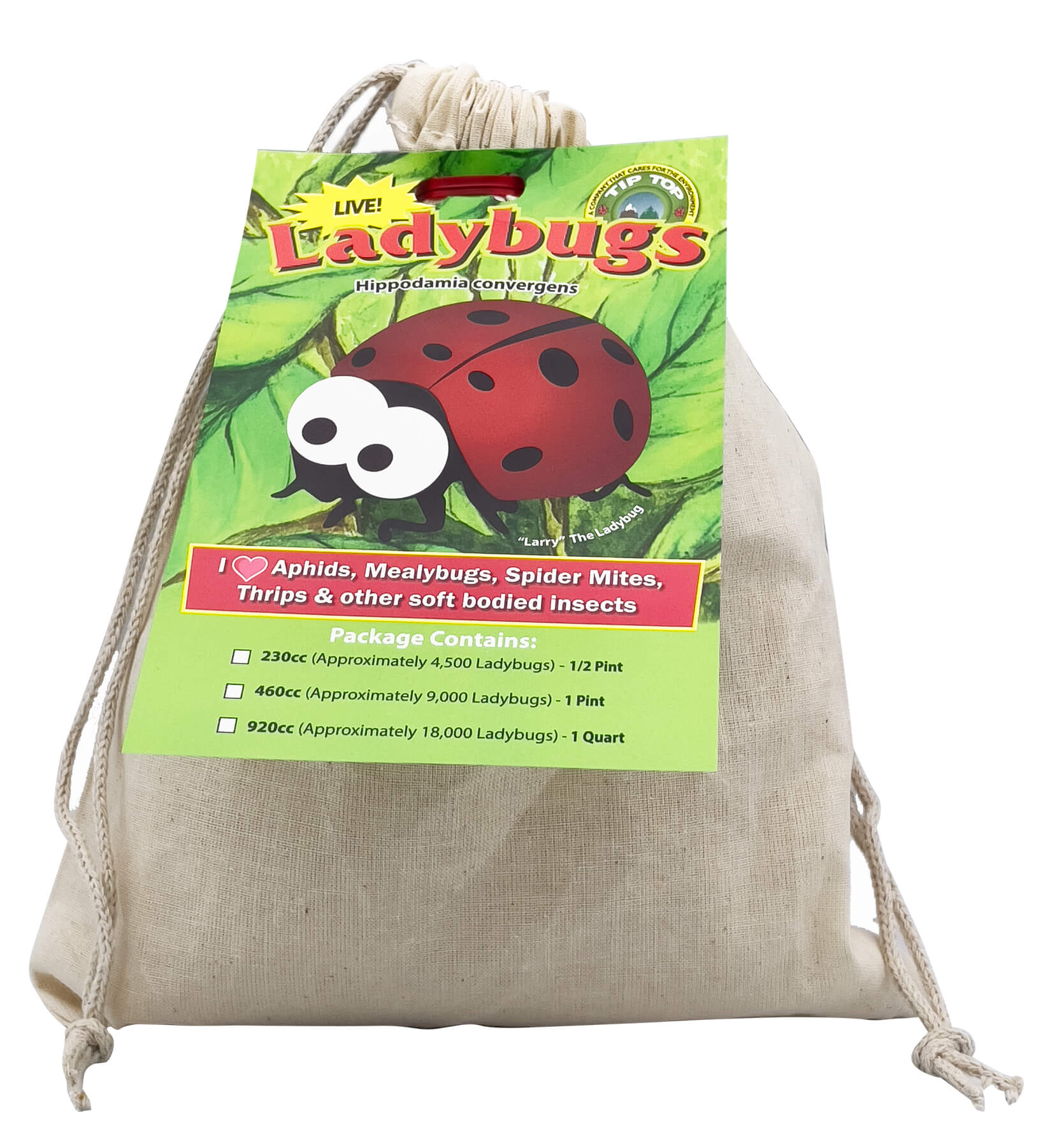 Pre-Fed Ladybugs – Tip Top Bio-Control
