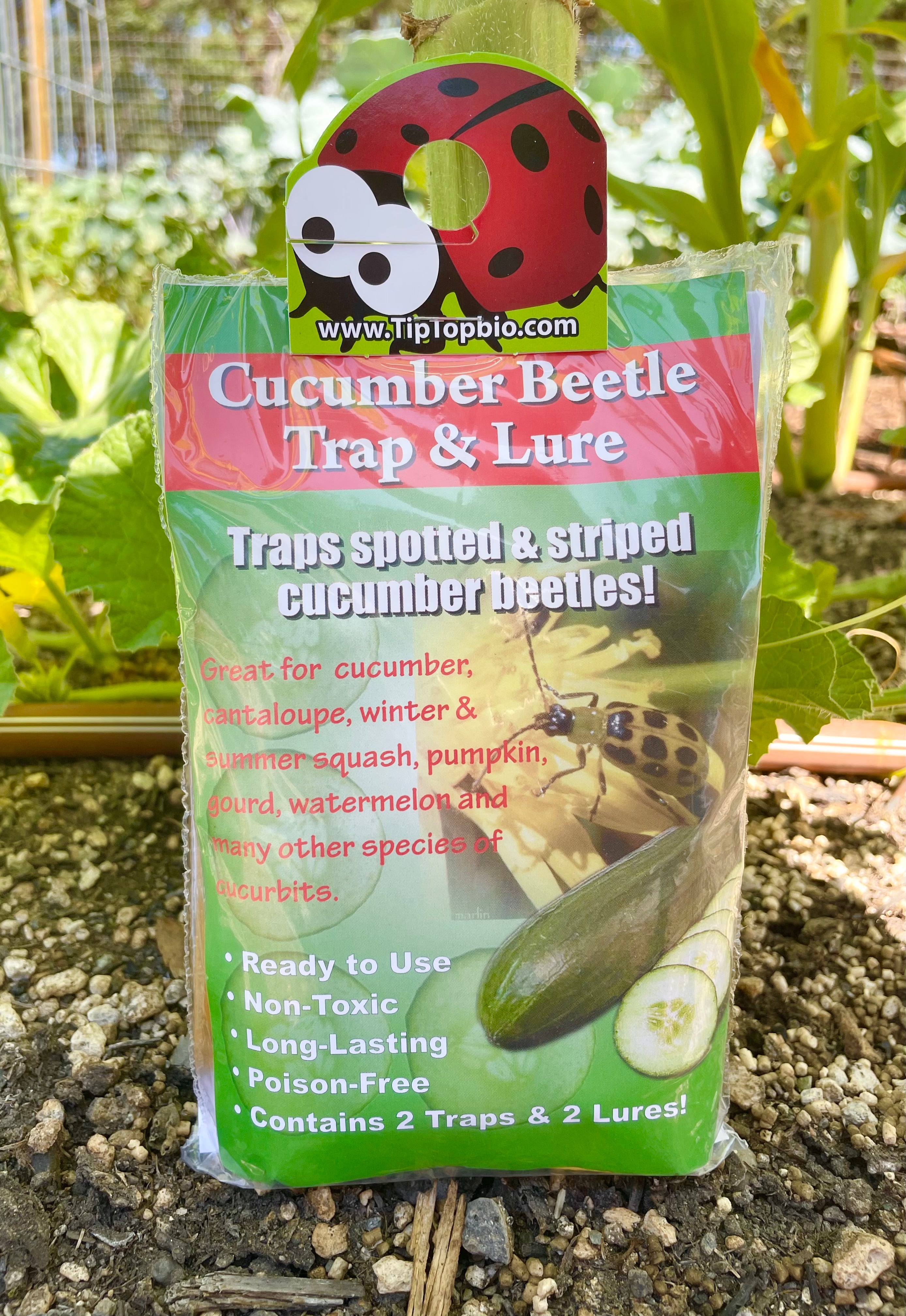 Cucumber Beetle Trap & Lure - 2 Pack - Tip Top Bio product image