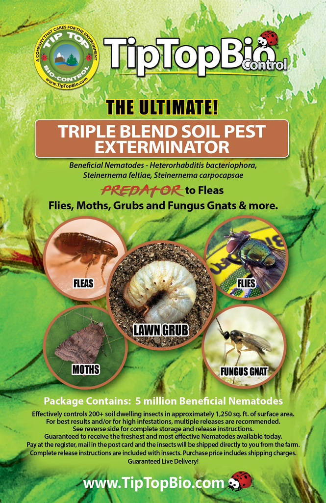 Thrip Nematodes - Triple Pack, Shop Online