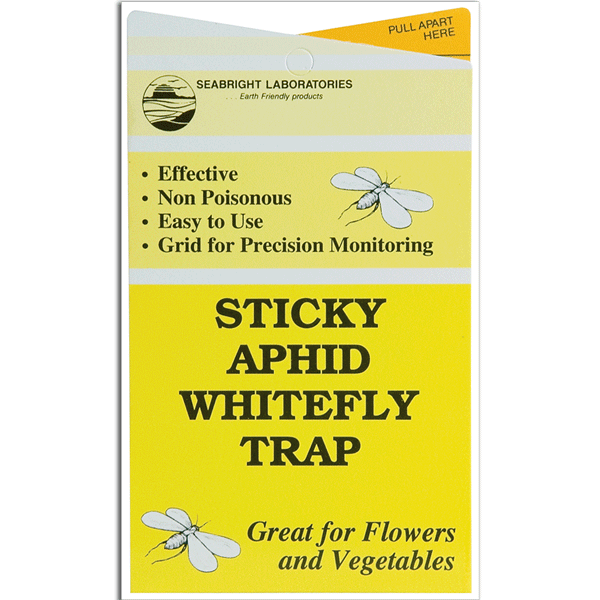 Pest Wizard Consperse Stink Bug Trap Kit