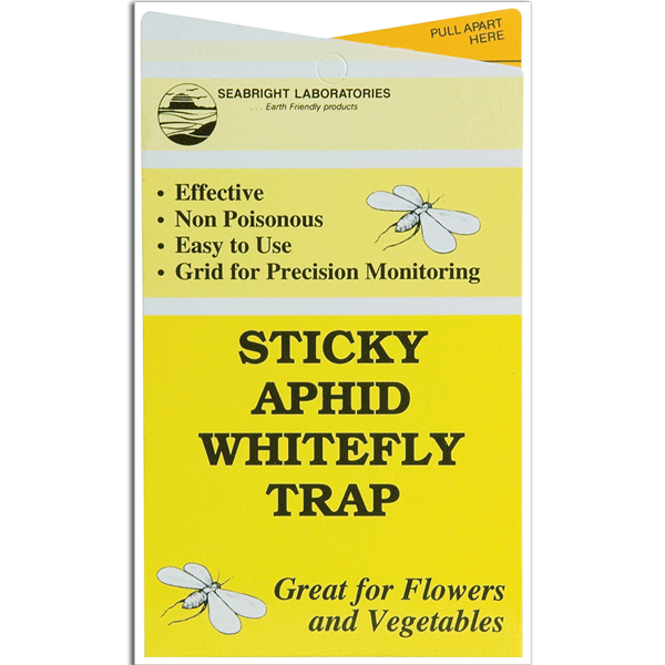 Enoz Gnat Styx (6 Pack) - BioCare Gnat Stix - Sticky Paper Trap - Pesticide  Free - Lasts up to 3 Months - Includes 72 Traps and Stakes