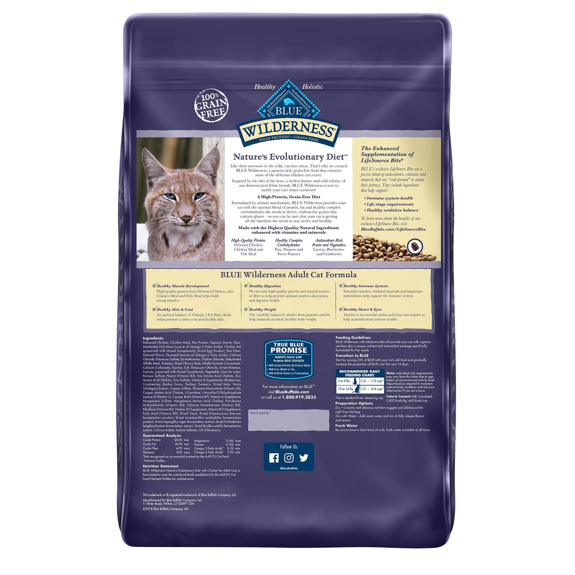 blue buffalo wilderness chicken dry cat food