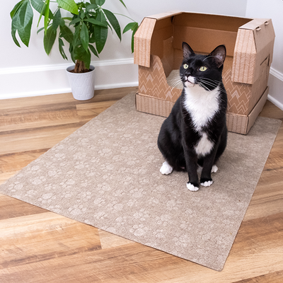 Cat Litter Gray Mat, Kitty Poo Club