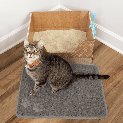 Best Cat Litter Mat In 2023 - Top 10 Cat Litter Mats Review 
