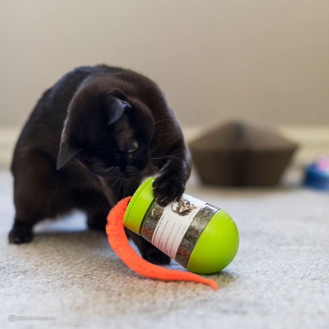 Turbo Wobble Bottle