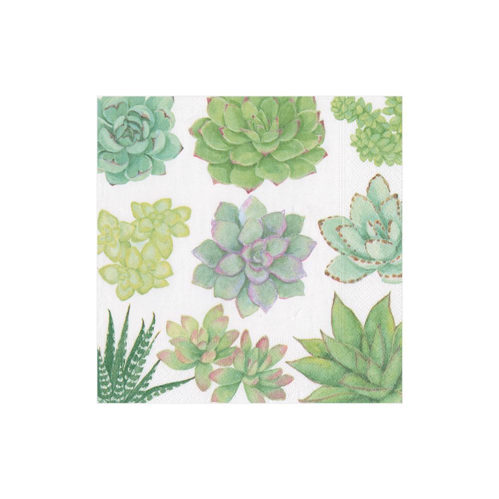 Caspari Succulents Paper Cocktail Napkins