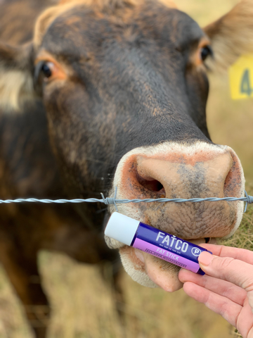 Grass-fed beef tallow