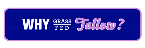 why grass fed tallow