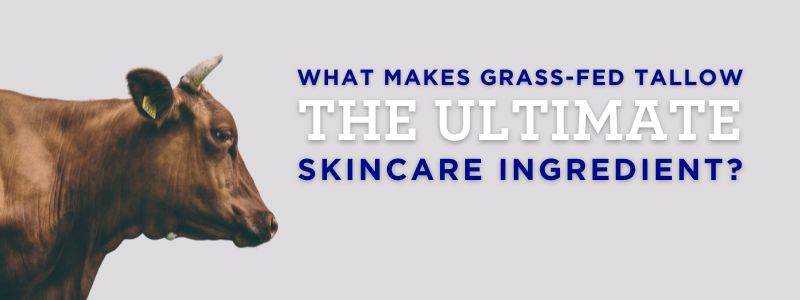 what makes grass fed tallow the ultimate skincare ingredient