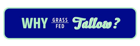 why grass fed beef tallow