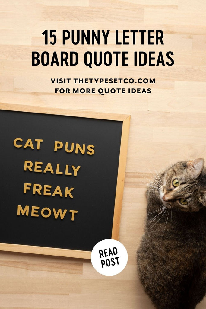 15 Punny Letter Board Quote Ideas