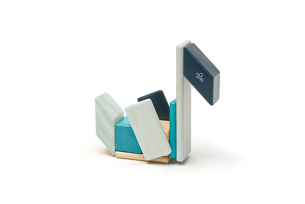 Tegu Magnetic Blocks