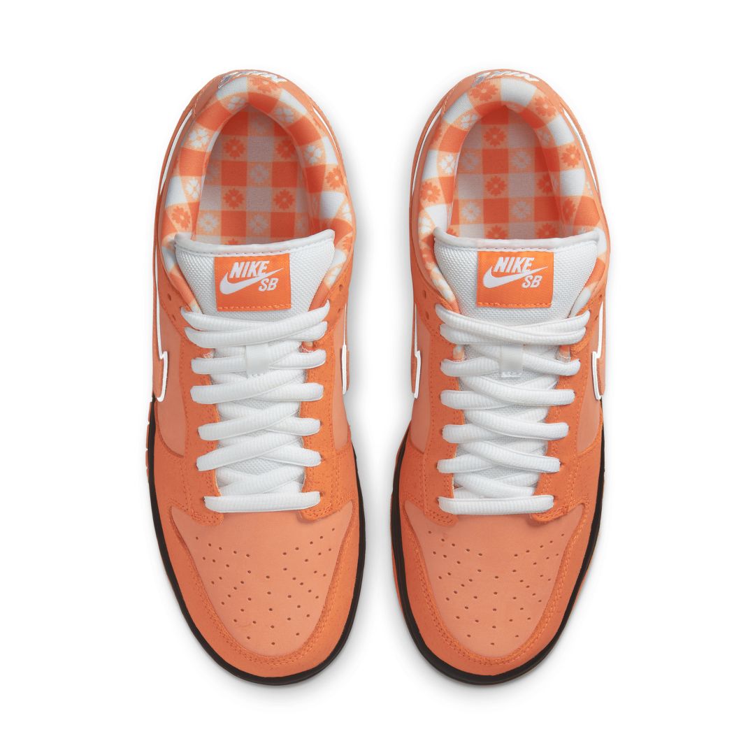 Nike Concepts SB Dunk Low 