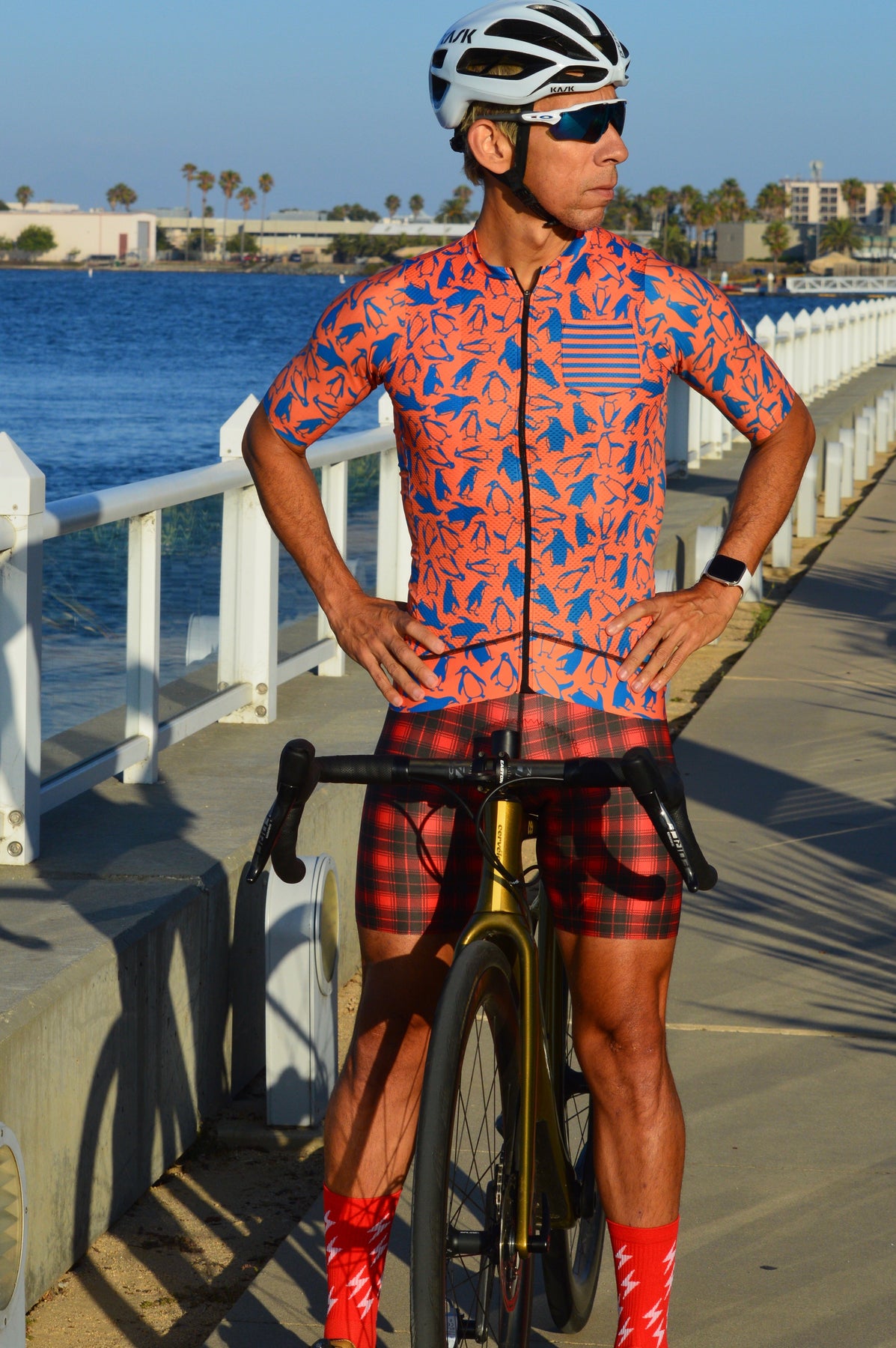 Download Men S Cycling Jersey Love The Pain