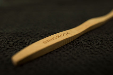 Brushbox bamboo brush