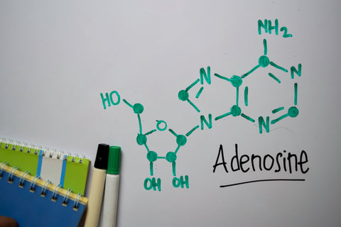 Adenosine molecule illustration