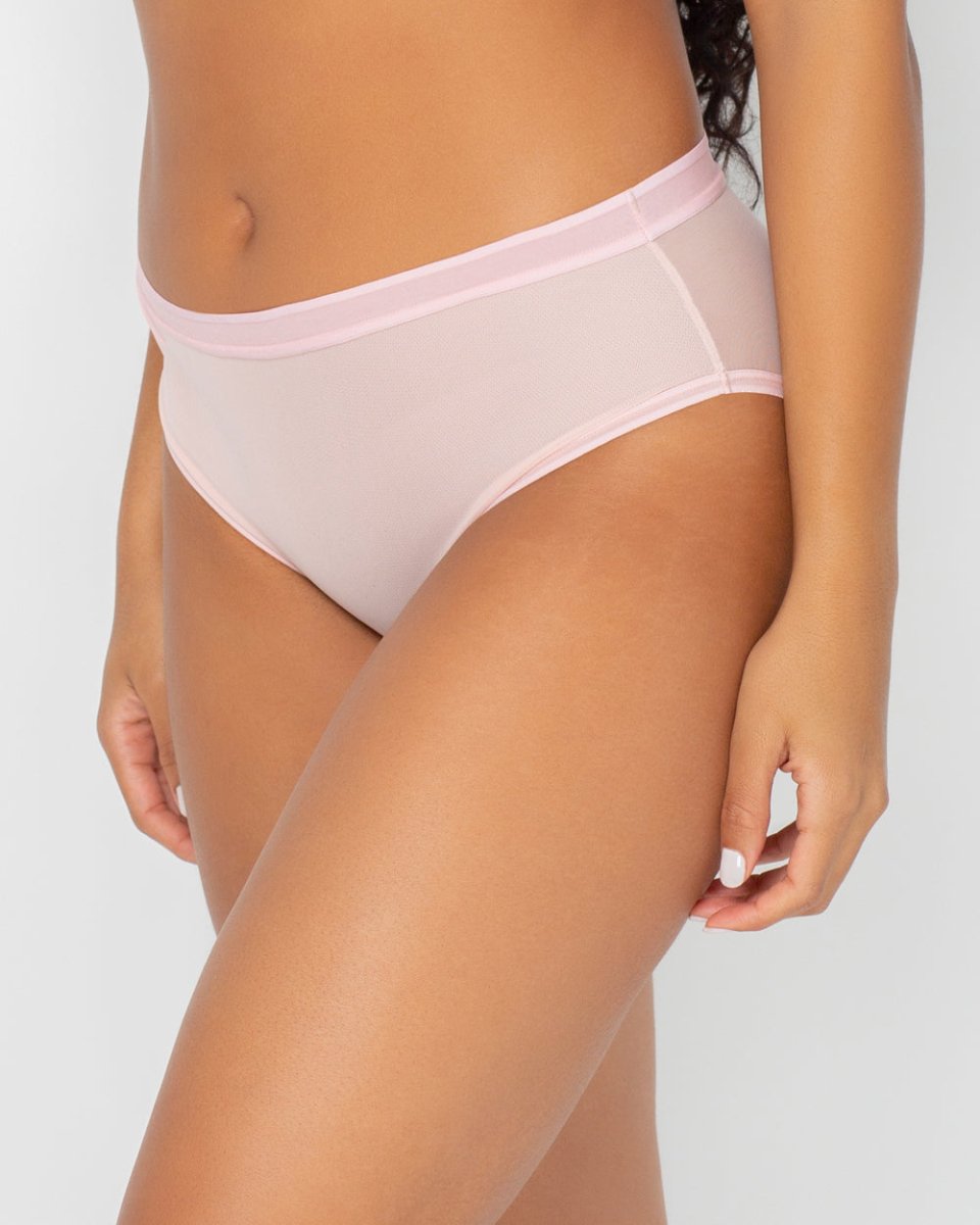 Sheer Mesh High Cut Brief Panty Blushing Rose-1313S – Bravo Bra Boutique