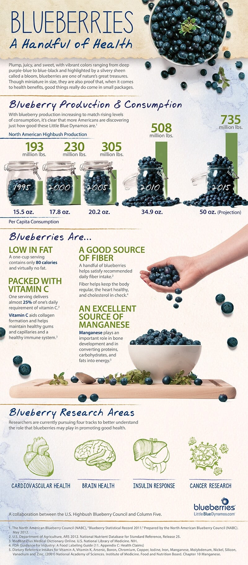 11 Reasons Why Berries Are Among the Healthiest Foods on Earth