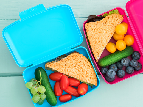 Plastic-free snack/lunch box challenge
