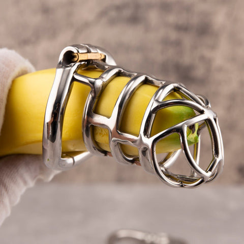 Chastity Cage with a curved ring