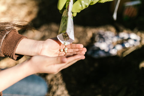 Buying seeds online