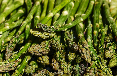 Growing Asparagus from Seeds to Harvest