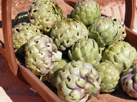 How to Grow Artichokes from Seeds – A Complete Guide