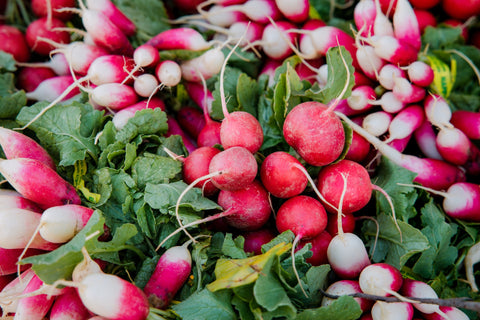 How to Grow and Harvest Radishes from Seeds | The Ultimate Guide