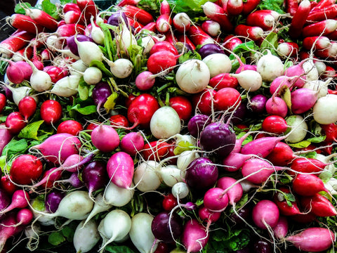 How to Grow and Harvest Radishes from Seeds | The Ultimate Guide