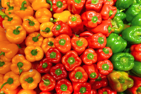How to grow Bell Peppers from seeds: From Germination to Harvest