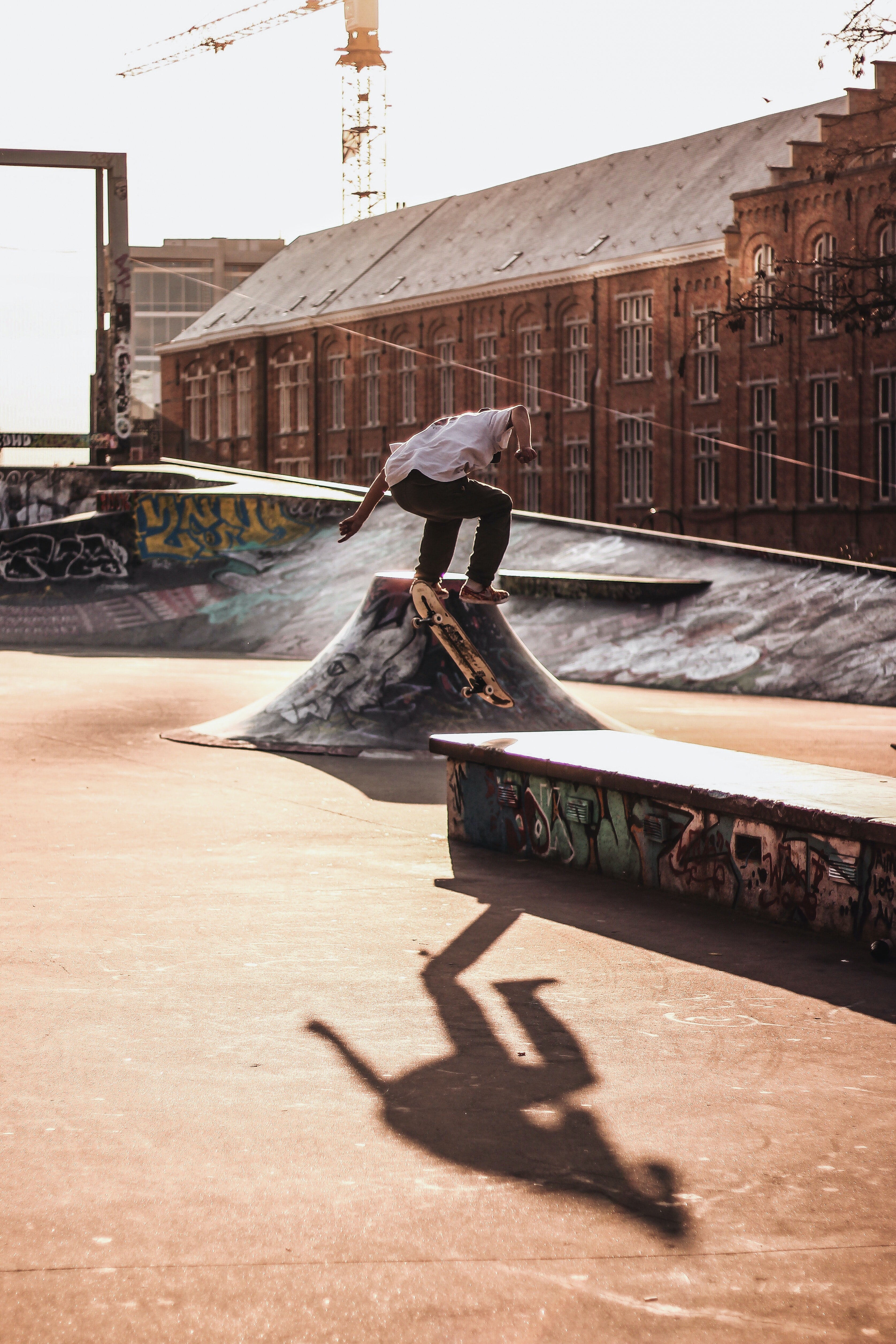 Best Skateboard Setup For Parks