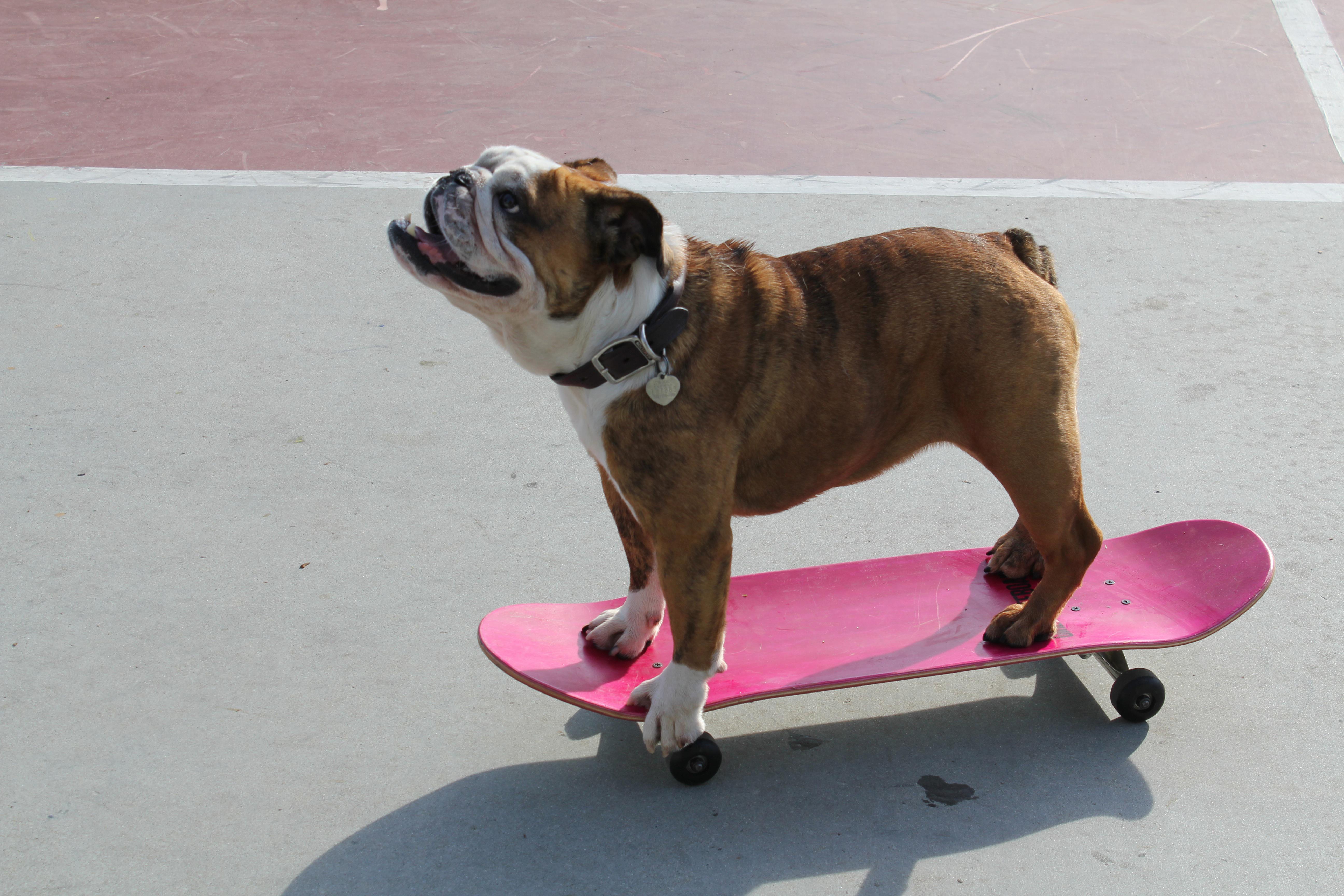 Skateboarder On Ramp