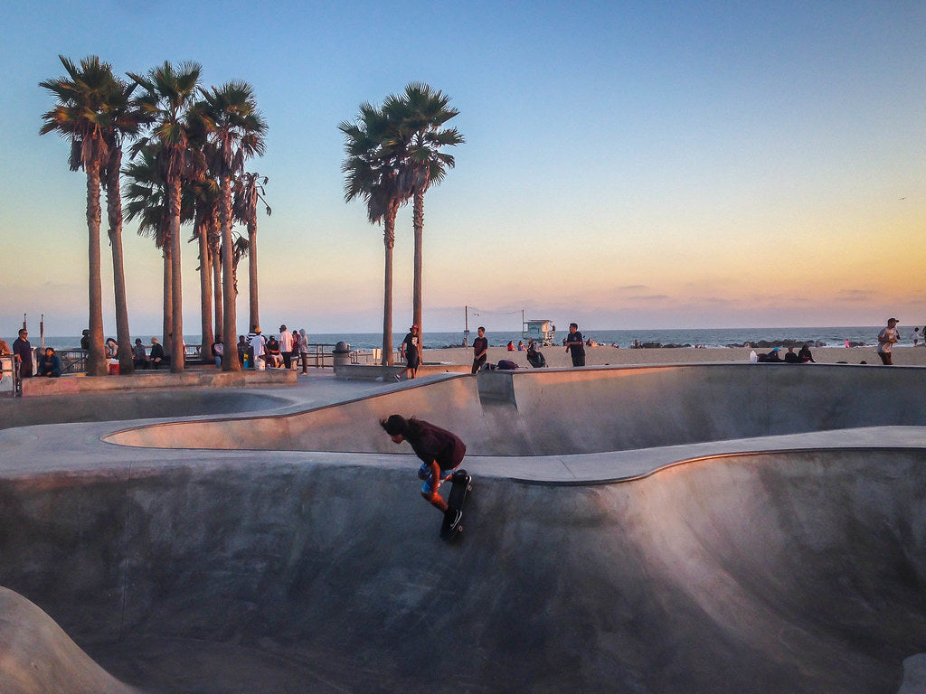 Venice Park Skate Plaza