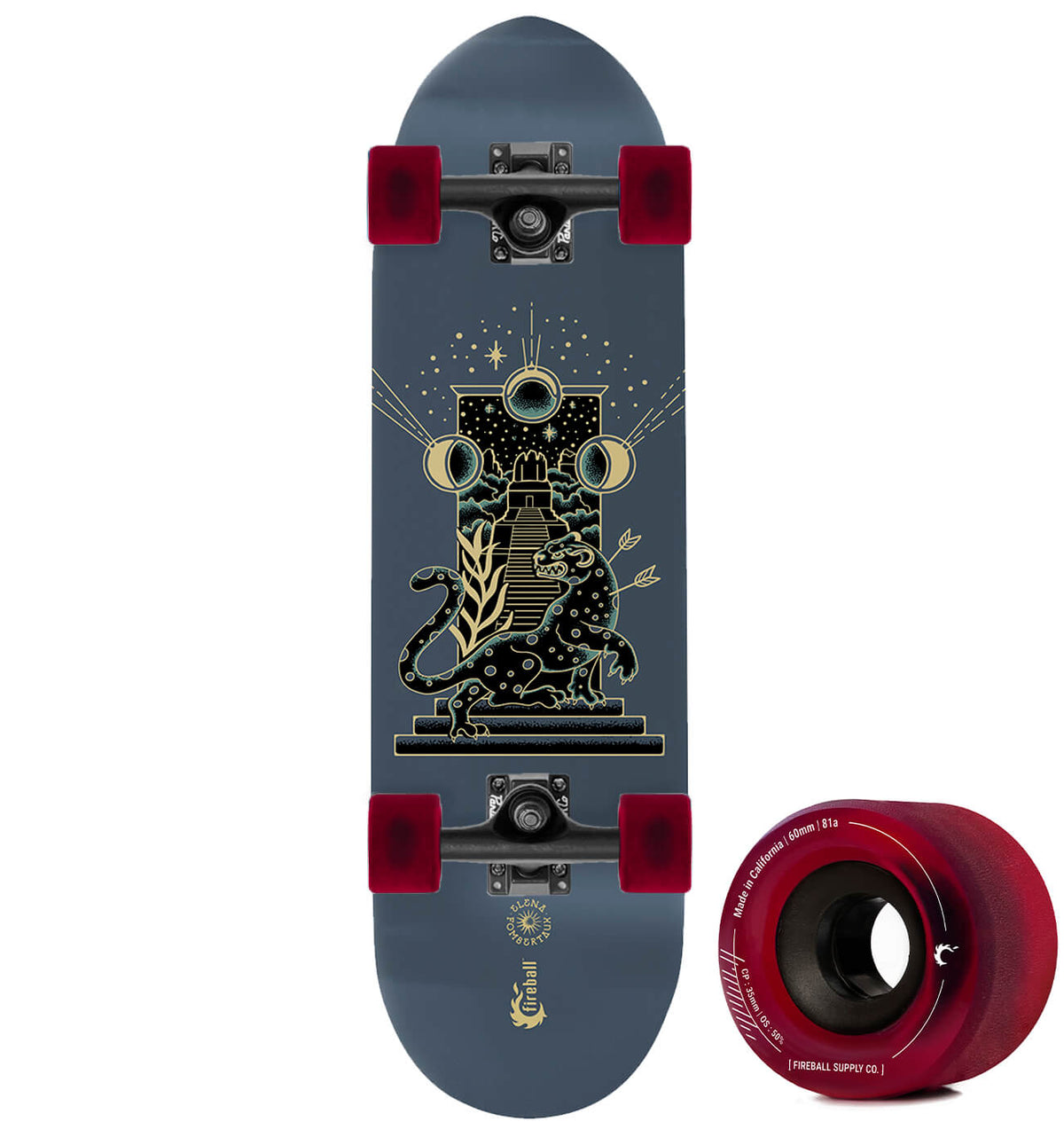 SK8OLOGY - DECK DISPLAY - SUPPORT MURAL DE BOARD