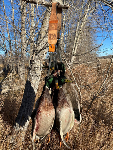 Mallards in Canada