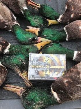 Federal Duck Hunting Loads