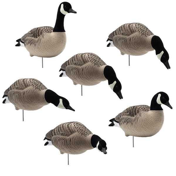 final approach lifecraft goose decoys