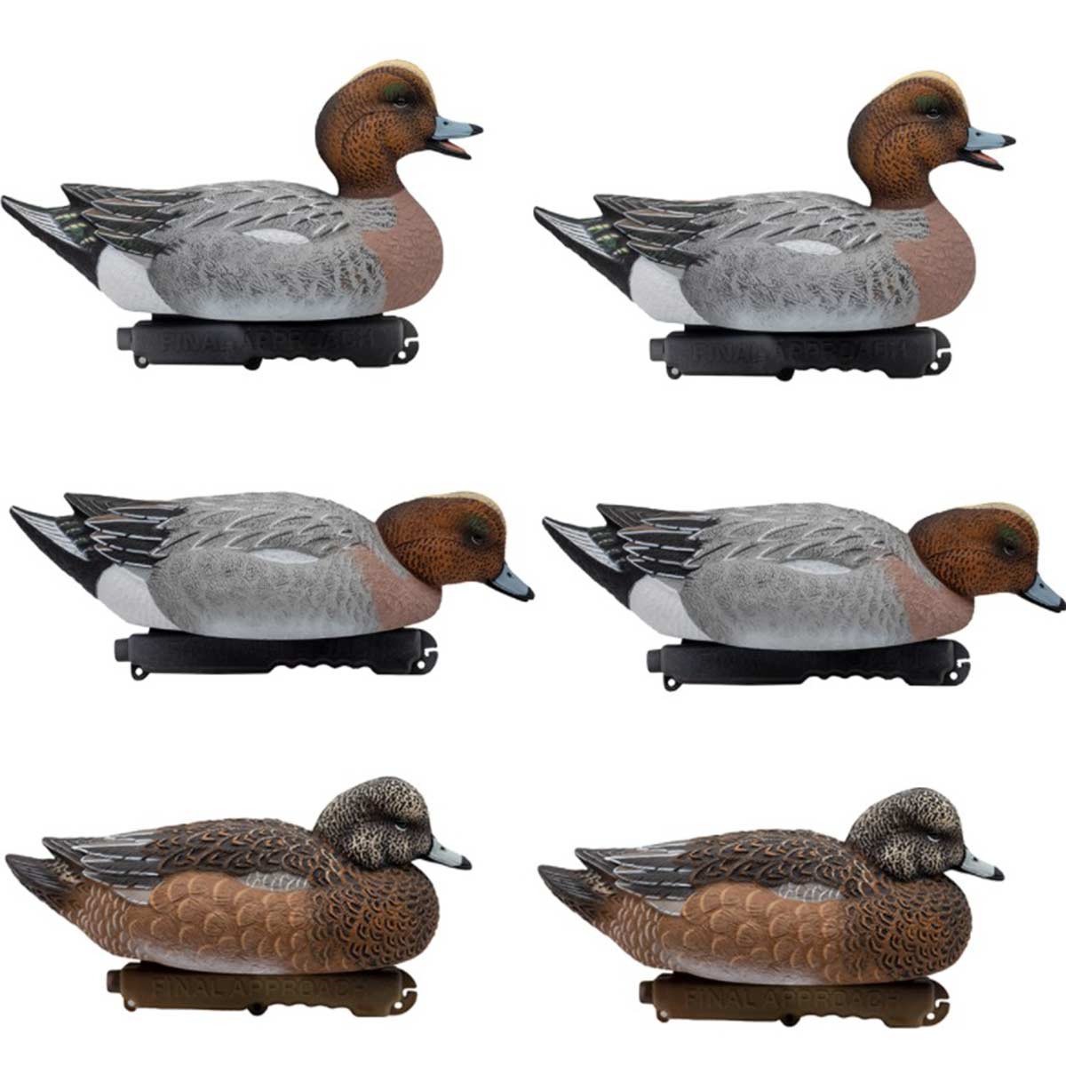 eurasian wigeon vs american wigeon