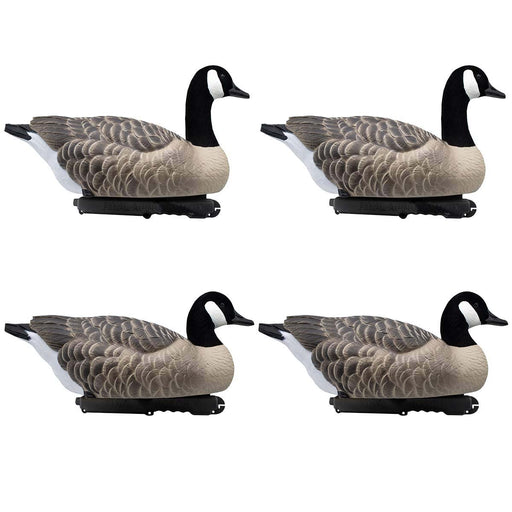 Last Pass Canada Goose Floating Decoys | Final Approach Waterfowl