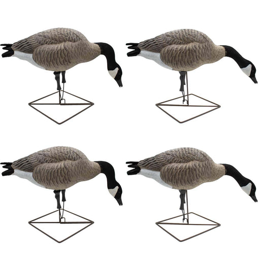 306308 Upright/High - Specklebelly Goose