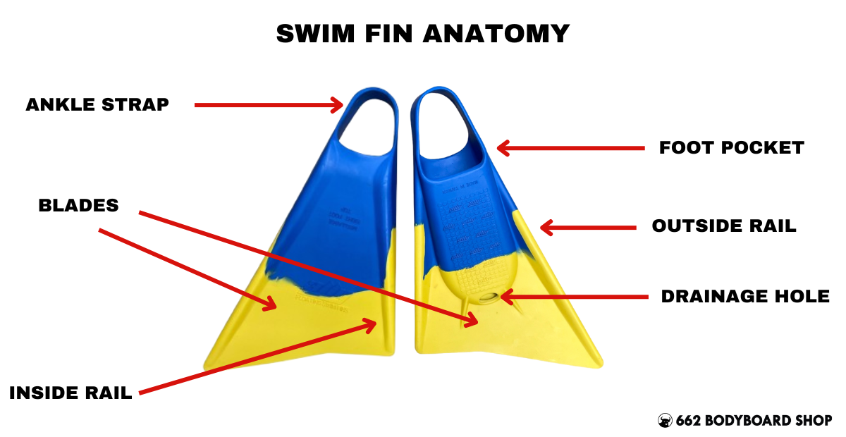 Swim fins are shown front and back with labels identifying their parts and a diagram title at the top of the graphic reads, "Swim Fin Anatomy"