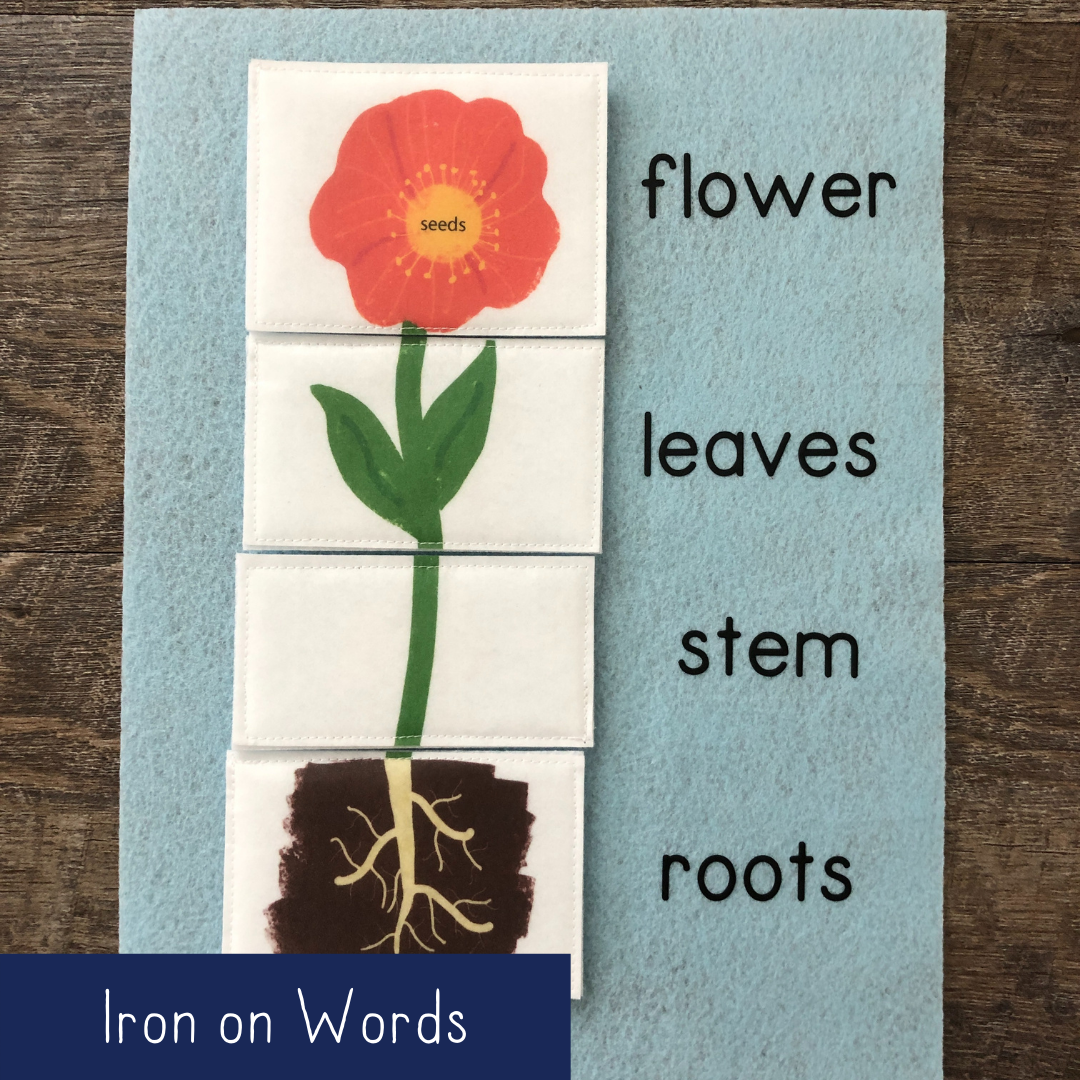 Parts of a Plant - Iron On Words | Quiet Book Queen & Crafts in ...