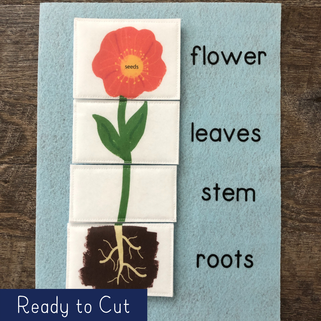 Parts of a Plant - Ready to Cut Flowers | Quiet Book Queen ...