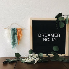 Dreamer No. 12 | The 100 Day Project | Bast + Bruin