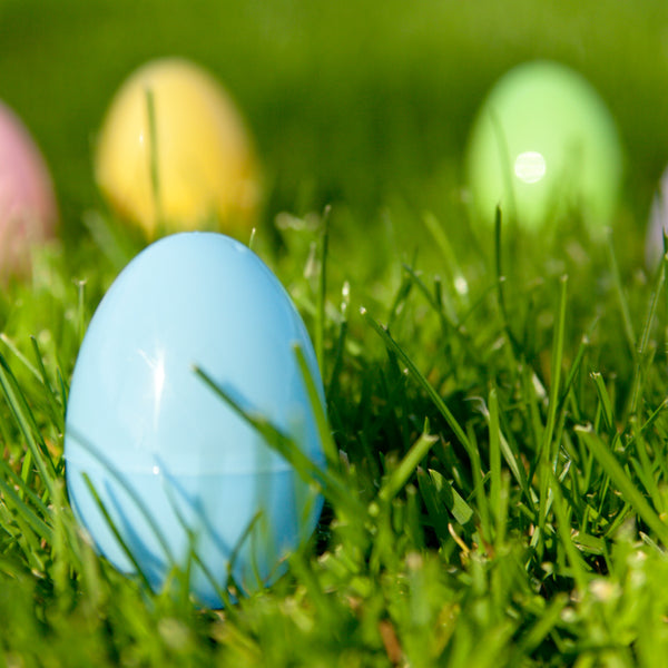 awesome easter egg hunt how to's