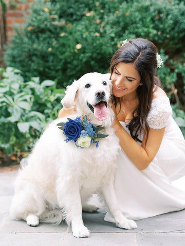 Flowers for Collars