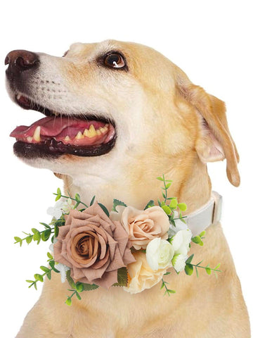 Flowers for Collars